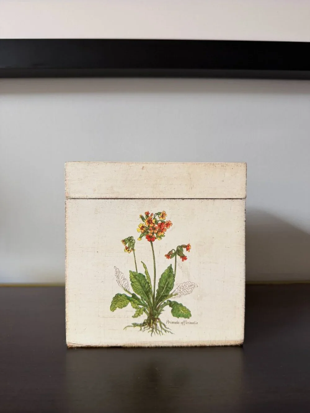 Vintage (circa 2000) Vietri Tissue Box